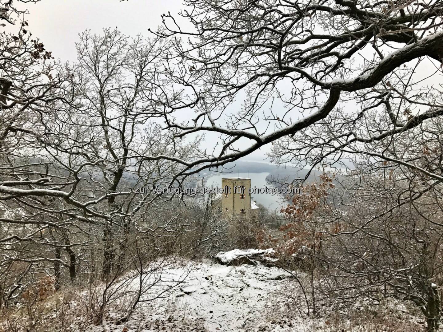 Burg Greifenstein