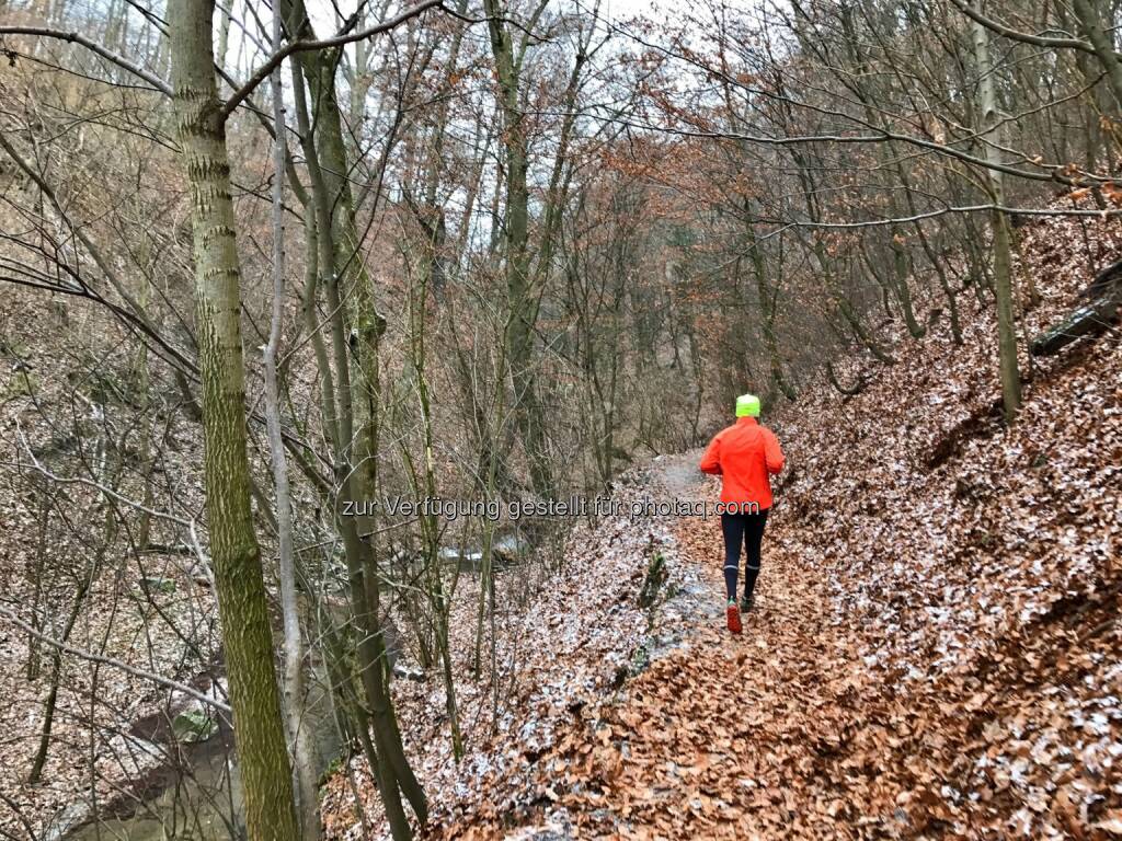 Hagenbachklamm (23.12.2016) 