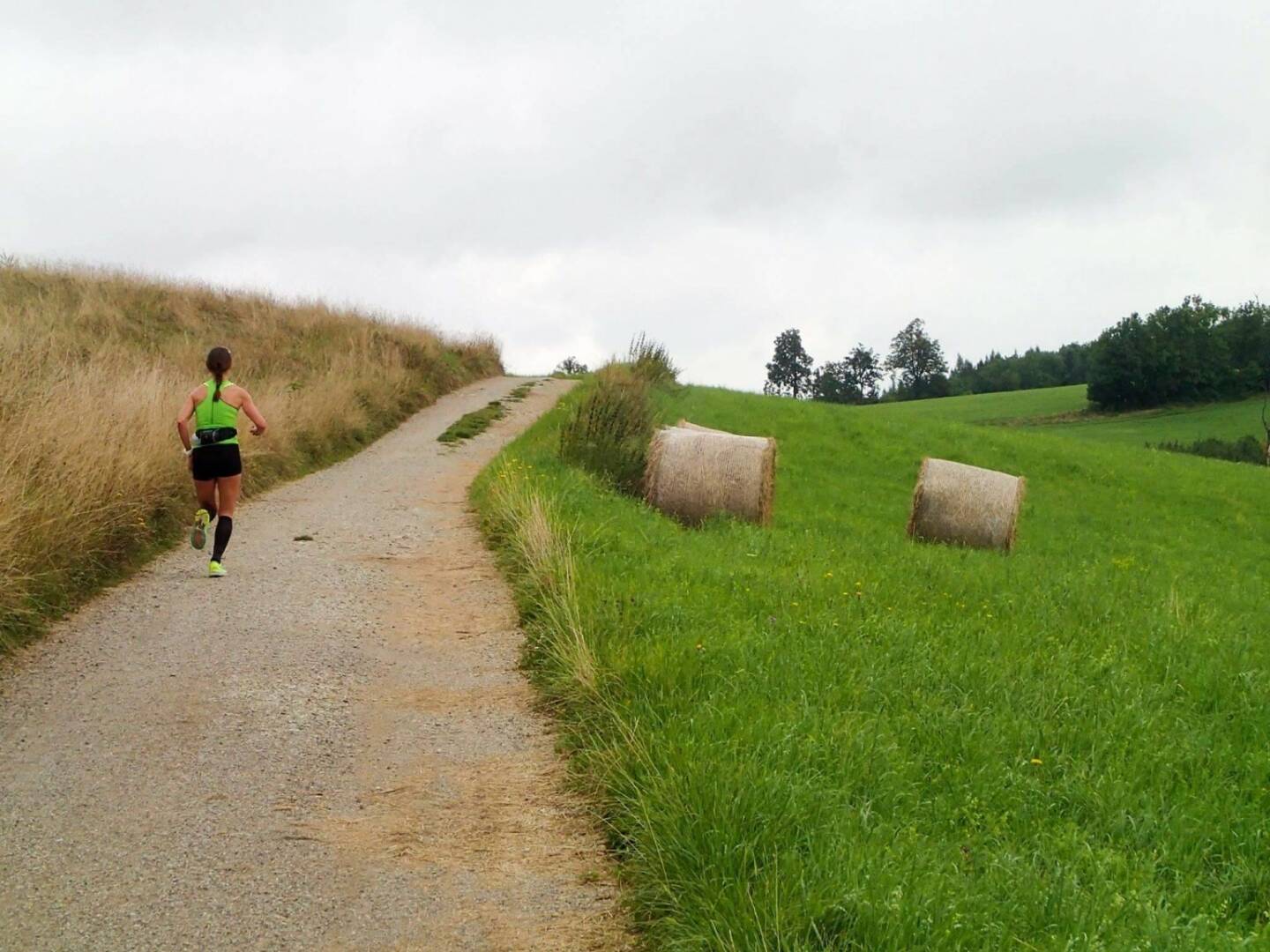 Carola Bendl-Tschiedel Nominierung - mein Sportschnappschuss des Jahres 2016: Unterwegs bei meinem Geburtstagslauf.
53 km mit Freunden rund um den Lainzer Tiergarten und anschließend U4U4 von Hütteldorf nach Heiligenstadt.
Das Bild zeigt den Anstieg auf die Sofienalpe, nach ca. 36 Kilometern. In der Laufeuphorie und im Plaudern mit Jean-Marie Welbes, von dem auch dieses Foto stammt, bin ich kurz mal ein bisschen schneller geworden. Ein perfekter Geburtstag - - Voten und/oder auch sich selbst nominieren unter http://www.facebook.com/groups/Sportsblogged