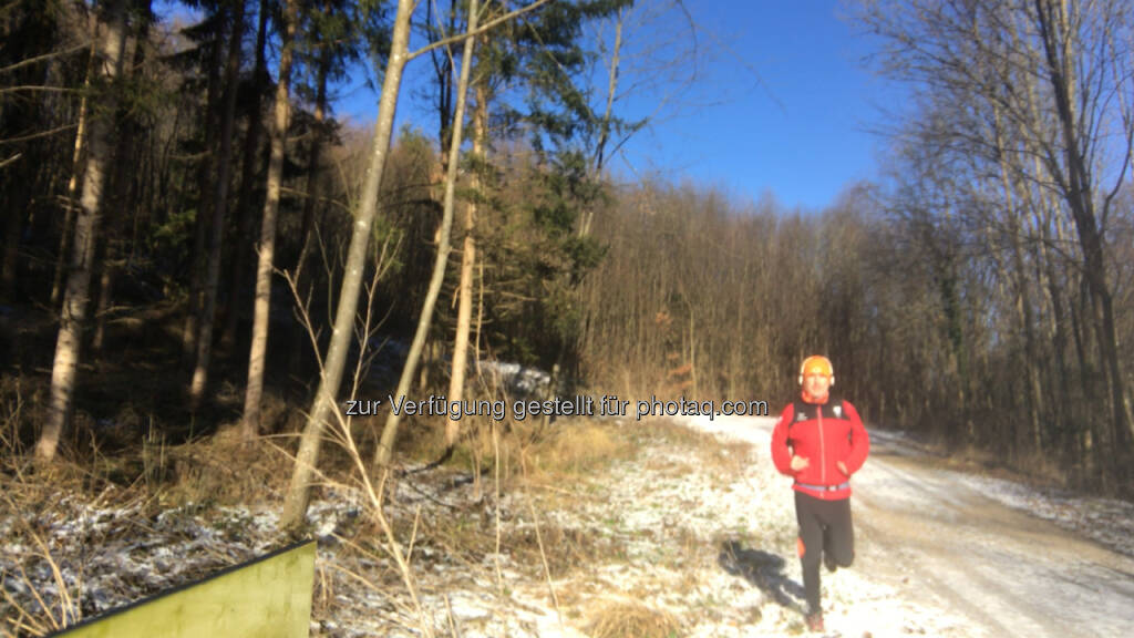 Wienerwald (01.01.2017) 