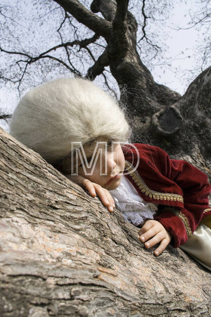 Mozart am Baum, © Martina Draper (10.05.2013) 