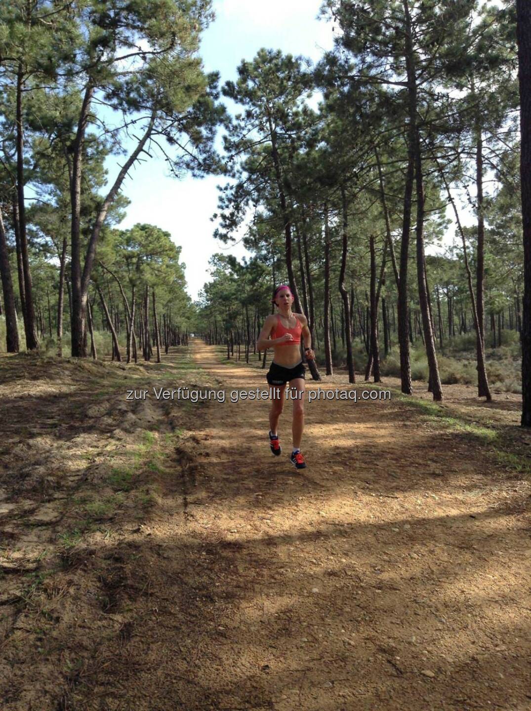 Conny Köpper, laufen, Portugal, Wald, Pinien