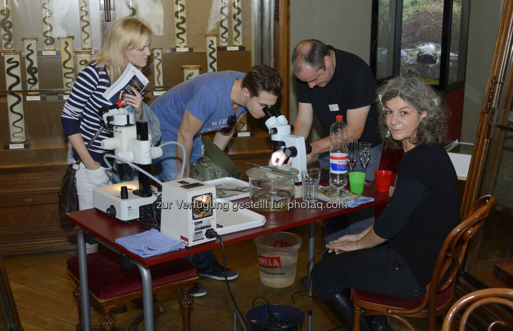 Naturhistorisches Museum: Citizen Science Day am 4. März 2017 im NHM Wien (Fotocredit: NHM Wien, Kurt Kracher) (23.02.2017) 