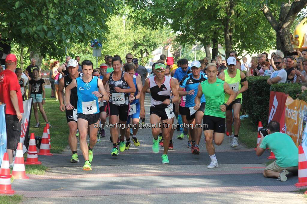 Schwadorfer Sonnwendlauf (10.05.2017) 