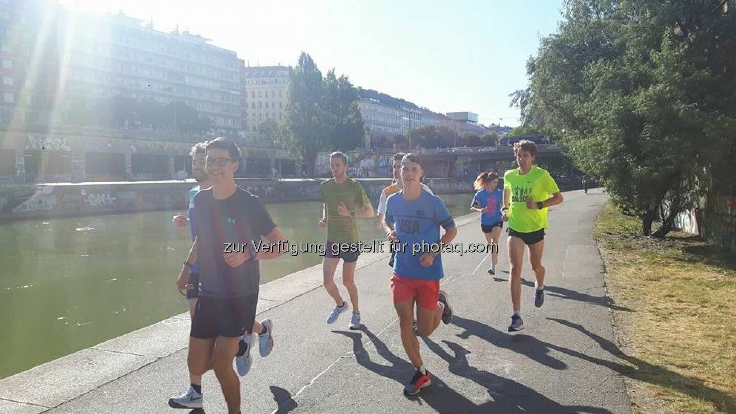 RunInc. Donaukanal