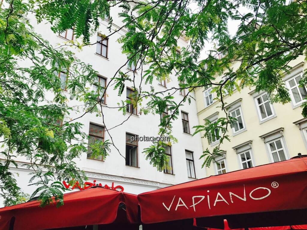 Vapiano rot, Baum grün, © Josef Chladek/photaq.com (27.06.2017) 