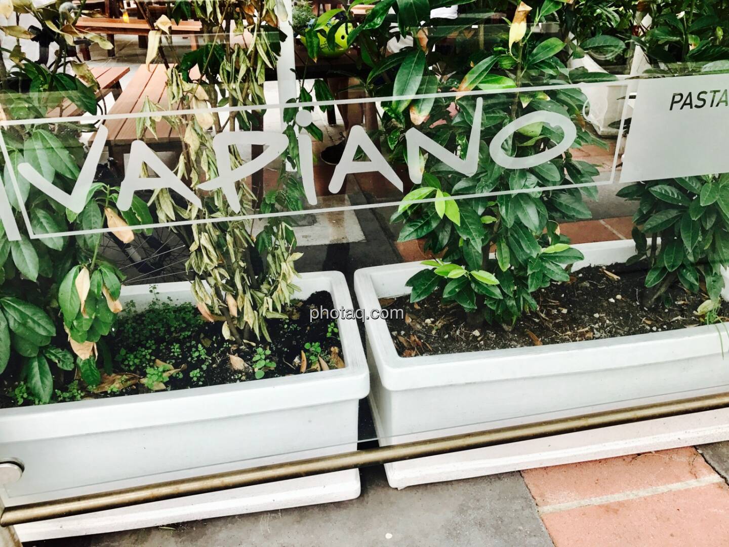 Vapiano Pasta