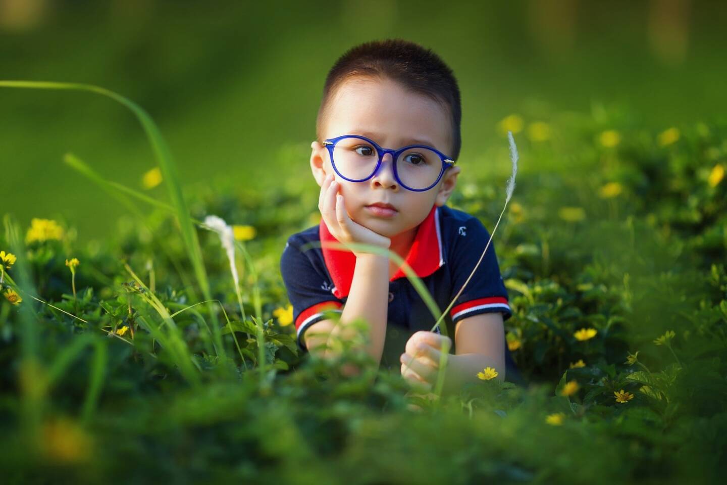 Kind, Kinder, nachdenken, Natur, Wiese, Gras, Grün (Bild: Pixabay/lichdinhtb https://pixabay.com/de/kinder-baby-der-sohn-liebe-1508121/ )