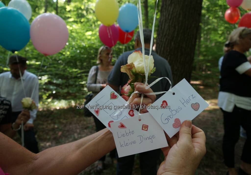 Naturbestattung GmbH: Einladung zur Eröffnung der Naturbestattungsanlage „Wald der Ewigkeit“ in Gießhübl (NÖ) (Fotocredit: Naturbestattung GmbH), © Aussender (21.08.2017) 