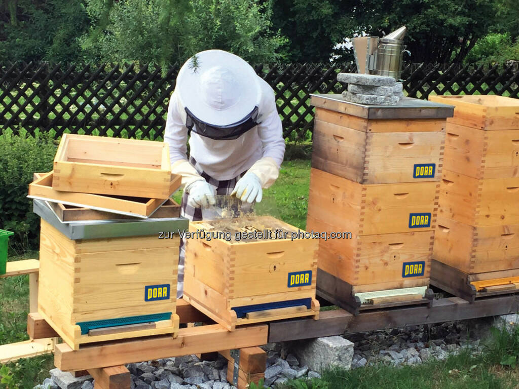Porr mit Bienen-Initiative bee@PORR, Bild: Porr (28.08.2017) 