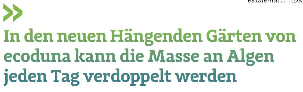 In den neuen Hängenden Gärten von ecoduna kann die Masse an Algen jeden Tag verdoppelt werden (12.09.2017) 