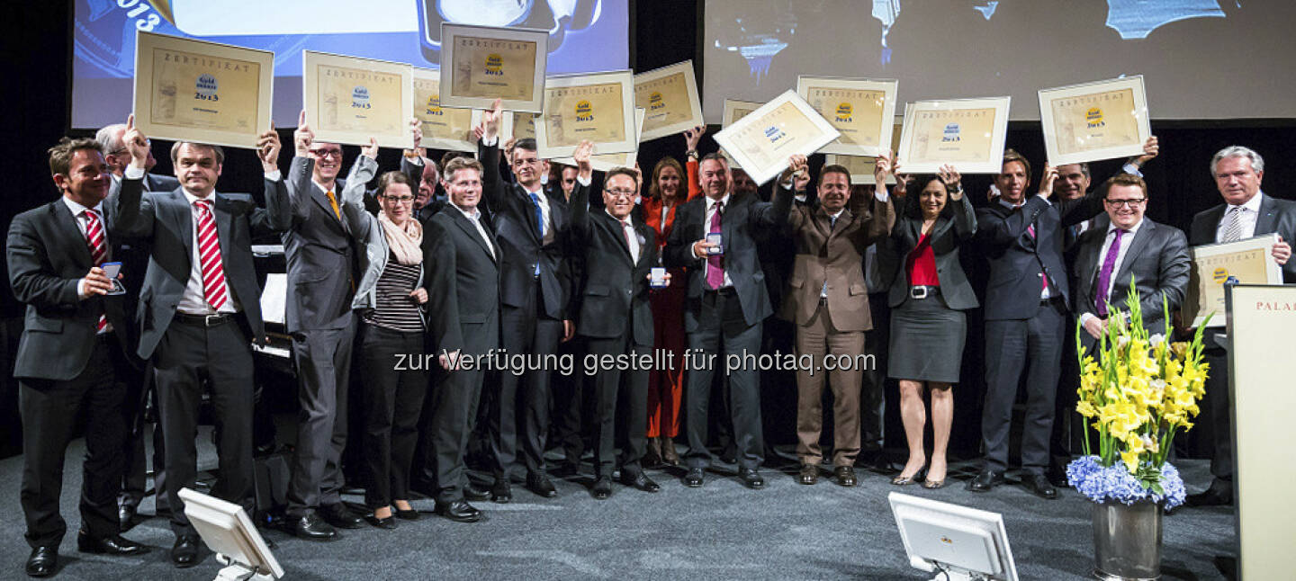 Goldmünze 2013