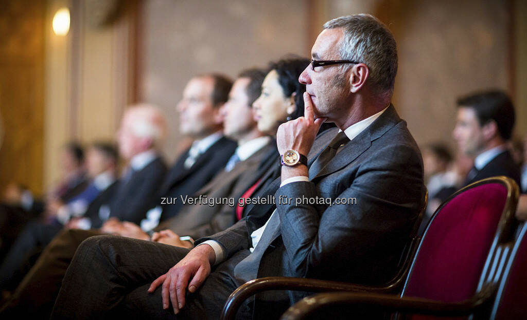 Goldmünze 2013 (26.05.2013) 