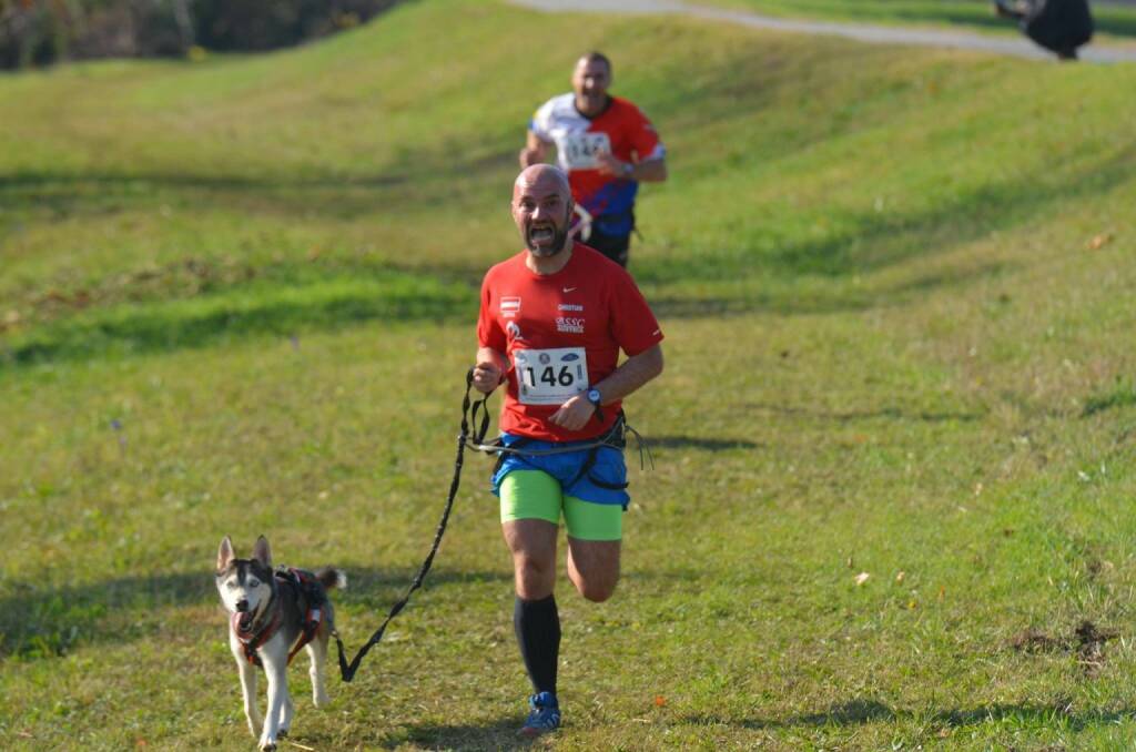 Christian Mayerhofer „Mein Sportschnappschuss des Jahres“ Die letzten Meter zum Grundstein zu Sibermedailie der Canicross EM in Italien. Ein sichtlicher Kampf am absoluten Limit. (27.12.2017) 