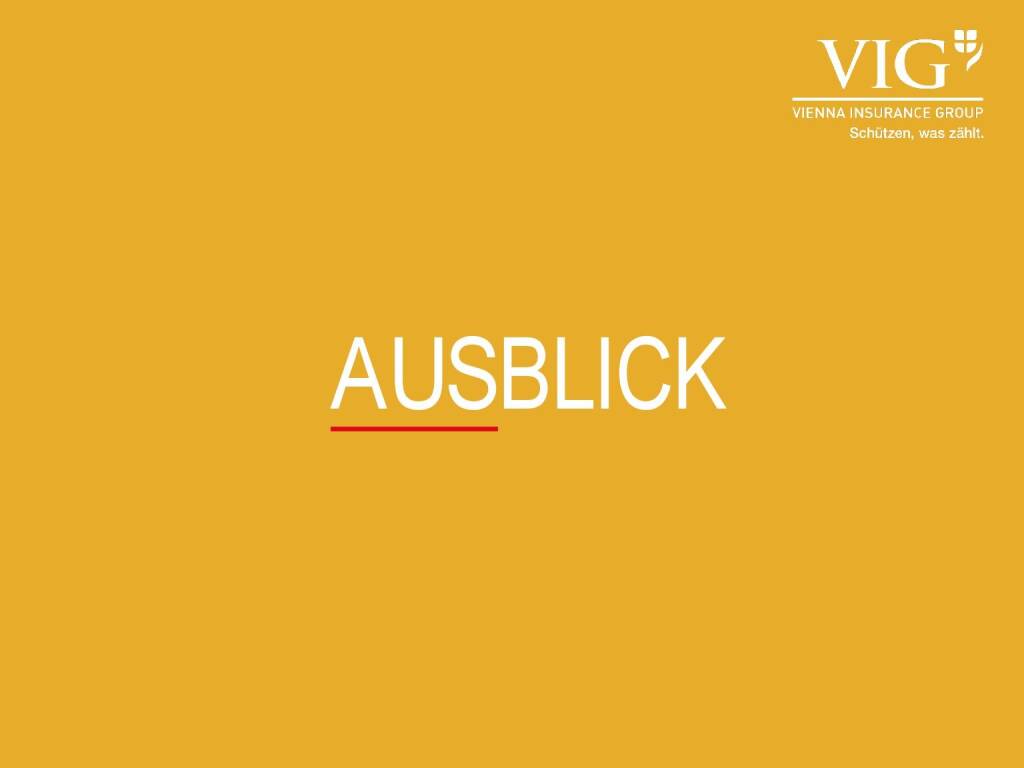 VIG Unternehmenspräsentation - Ausblick (20.02.2018) 