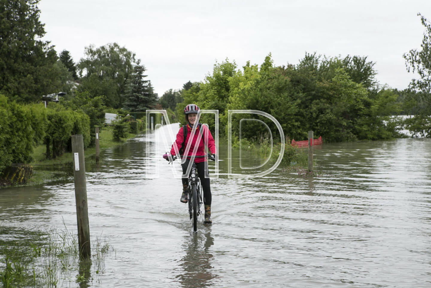 Hochwasser, Greifenstein, Martina Draper