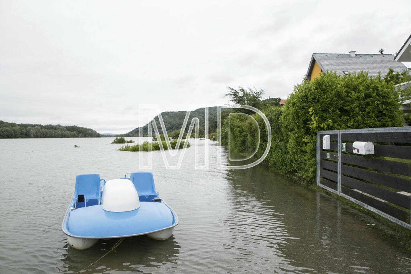 Hochwasser, Greifenstein, Tretboot