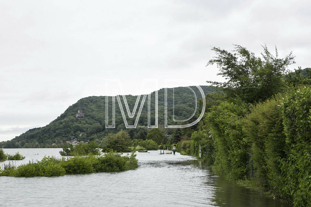 Hochwasser, Greifenstein, © Martina Draper (03.06.2013) 