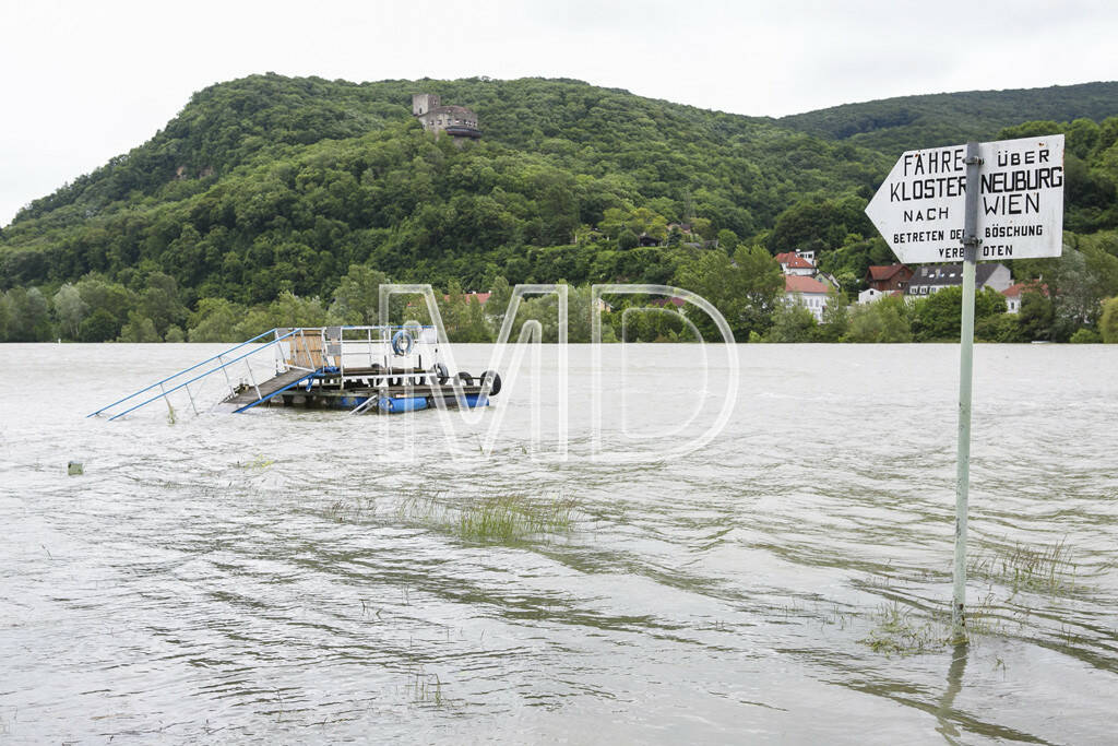 Hochwasser, Greifenstein, © Martina Draper (03.06.2013) 