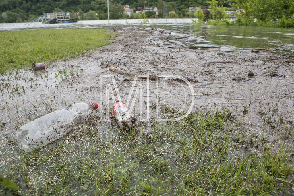 Hochwasser, Greifenstein, Coca-Cola Flaschen, © Martina Draper (03.06.2013) 