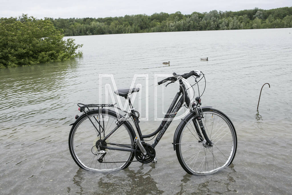 Hochwasser, Greifenstein, Fahrrad, © Martina Draper (03.06.2013) 