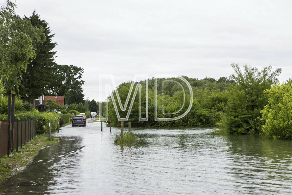 Hochwasser, Greifenstein, © Martina Draper (03.06.2013) 