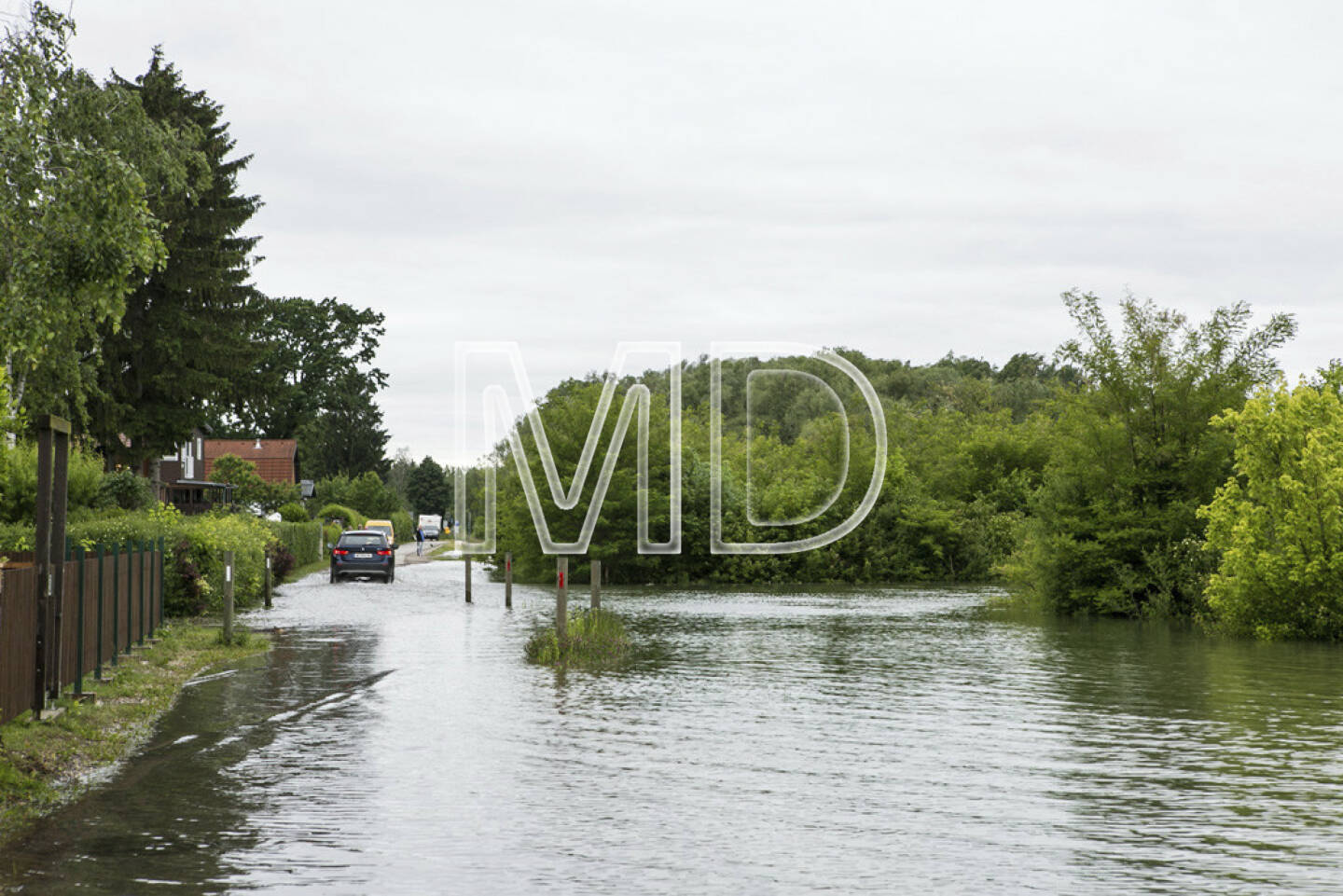 Hochwasser, Greifenstein