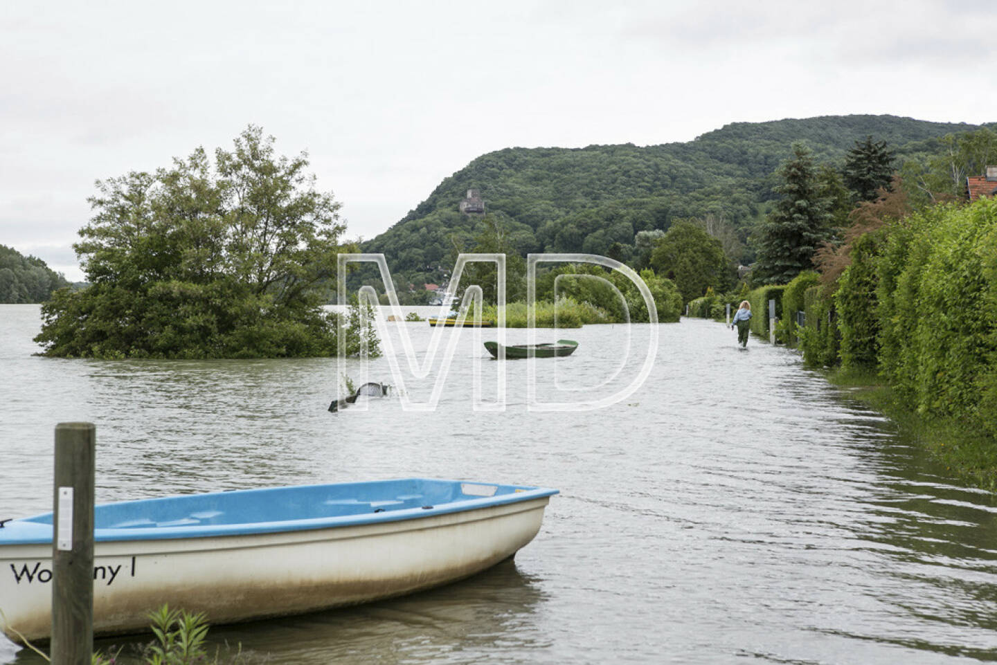 Hochwasser, Greifenstein, Boot