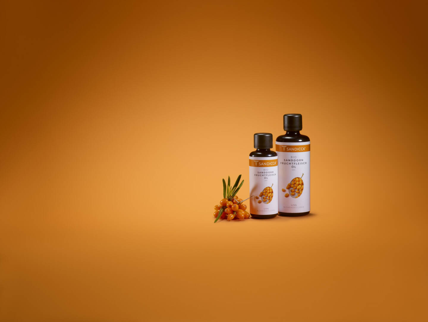 Sanddorn – Superfood aus Österreich - Das steirische Unternehmen SANDICCA® wurde 2017 von Tanja Kroisleitner gegründet. Auf rund 2,7 Hektar Anbaufläche gedeihen in den SANDICCA Sanddorngärten mittlerweile rd. 6.000 Sanddornsträucher in Bio-Qualität. Das herbstliche Wildobst ist seit 2017 als regionale Vitaminbombe unter der österreichischen Marke SANDICCA® in Apotheken und im eigenen Web-Shop erhältlich. Fotocredit: SANDICCA