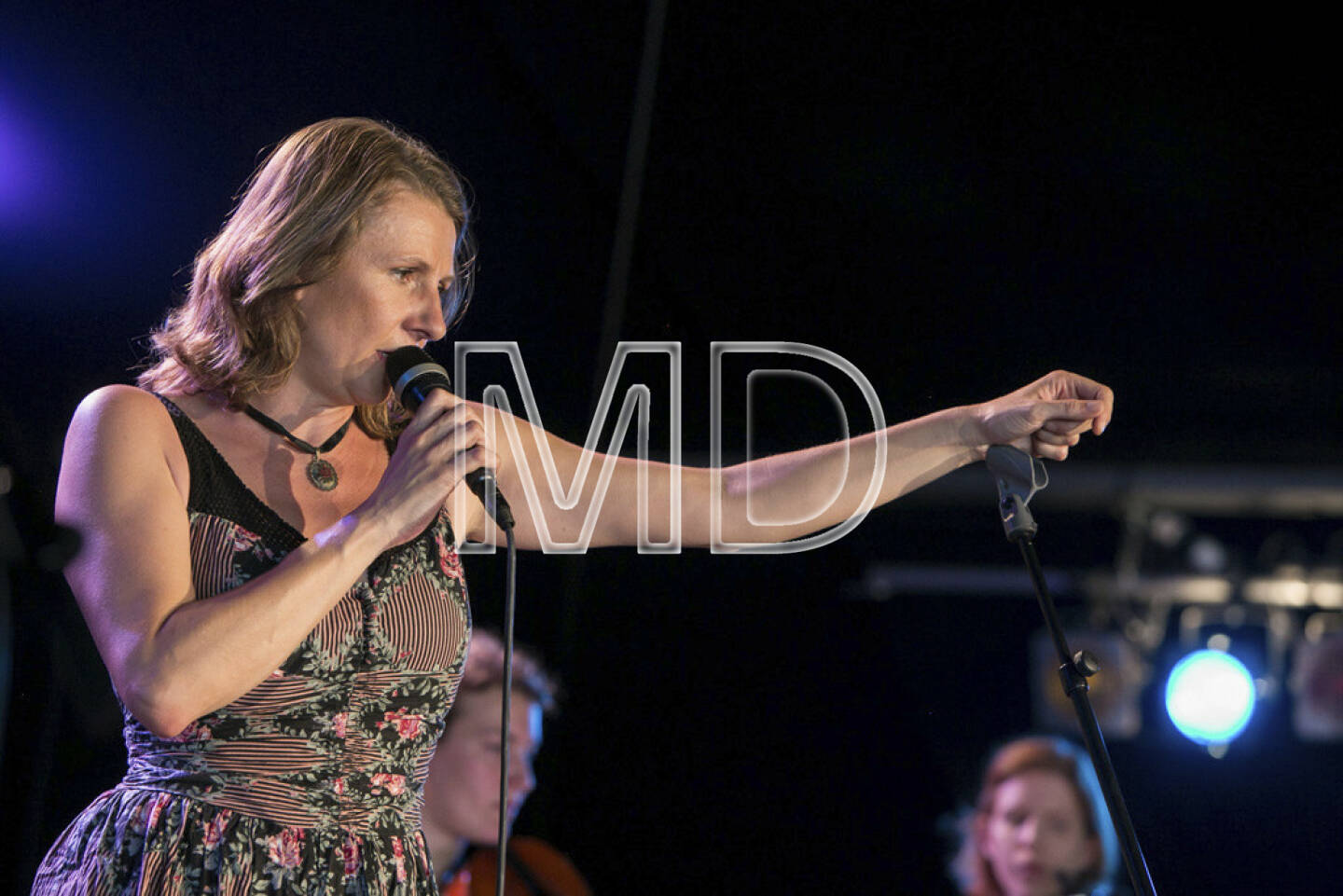 Wiener Donauinselfest 2013, OE 1 Kulturinsel,  Birgit Denk, weitere Bilder unter: http://martina-draper.at//2013/06/24/wiener_donauinselfest_2013#bild_11088