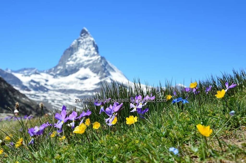  (05.08.2019) 