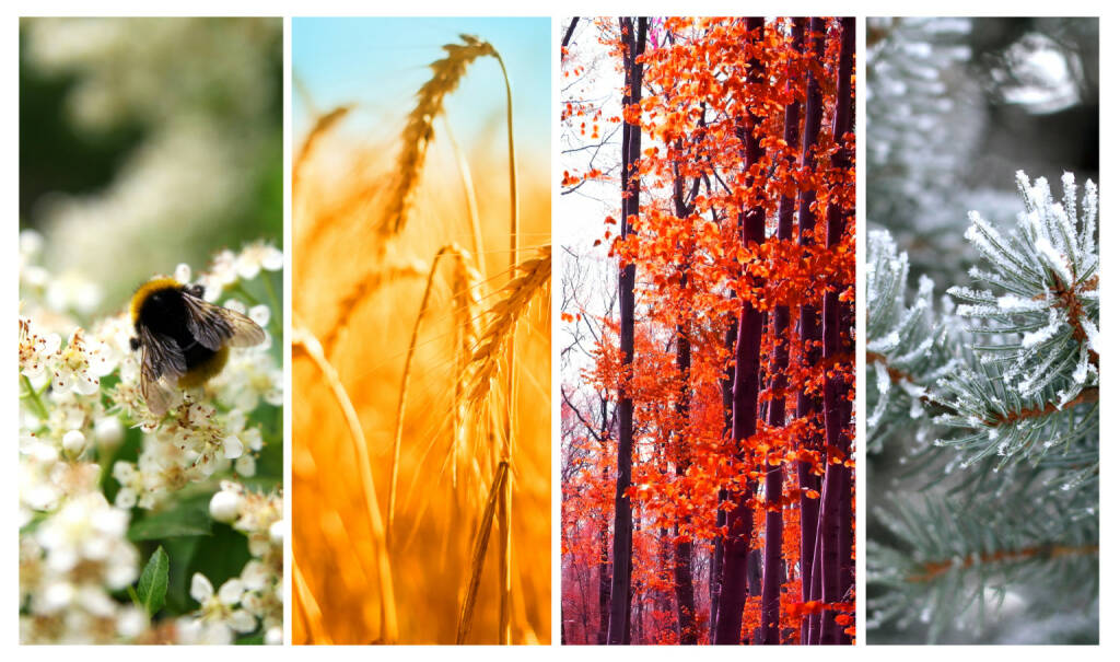 Vier Jahreszeiten: Frühling, Sommer, Herbst und Winter - https://de.depositphotos.com/42457073/stock-photo-four-seasons-spring-summer-autumn.html, © <a href=
