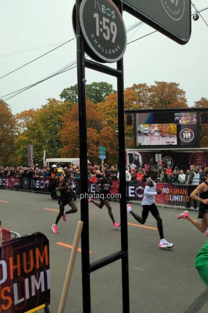 Eliud Kipchoge, Ineos 1:59, Wien, 12.10.2019, © Josef Chladek/photaq.com (12.10.2019) 