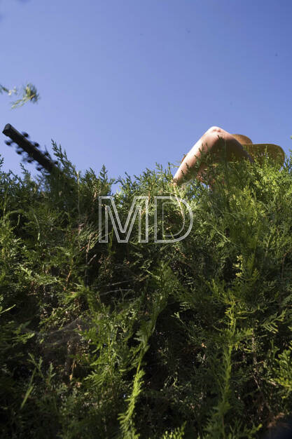 Hecken schneiden, © www.martina-draper.at (08.07.2013)