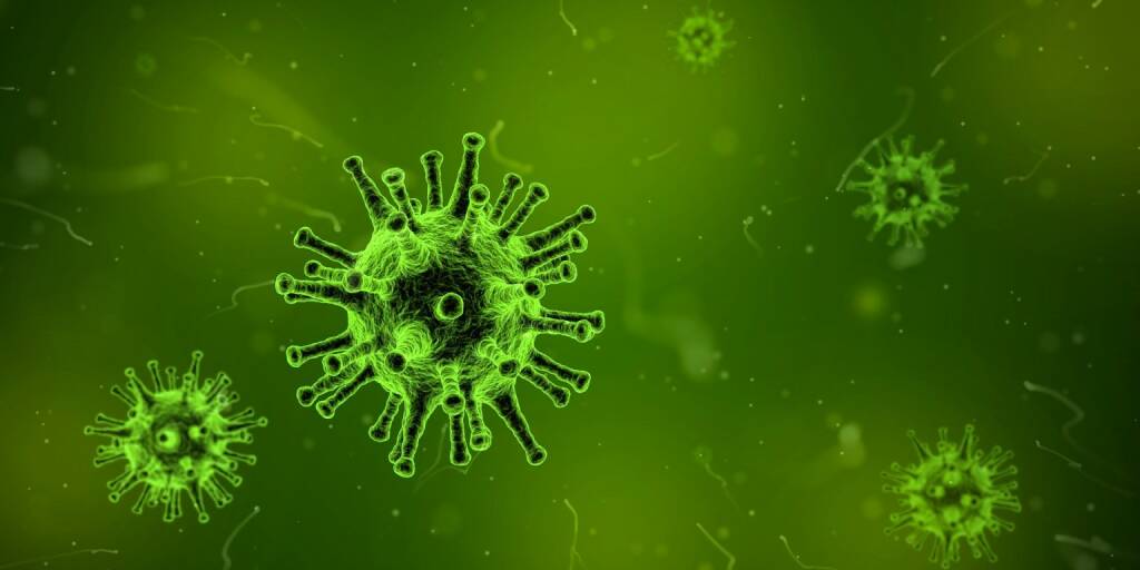 Coronavirus, Mikroskop, Infektion, Epidemie, Virus (Bild: https://pixabay.com/de/illustrations/virus-mikroskop-infektion-krankheit-1812092/) (26.02.2020) 