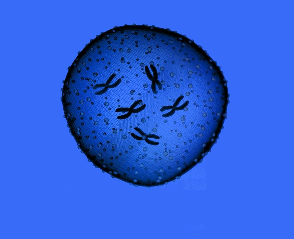 Coronavirus, Mikroskop, Infektion, Epidemie, Virus (Bild: https://pixabay.com/de/photos/impfstoff-epidemie-voc-virus-4815052/) (26.02.2020) 