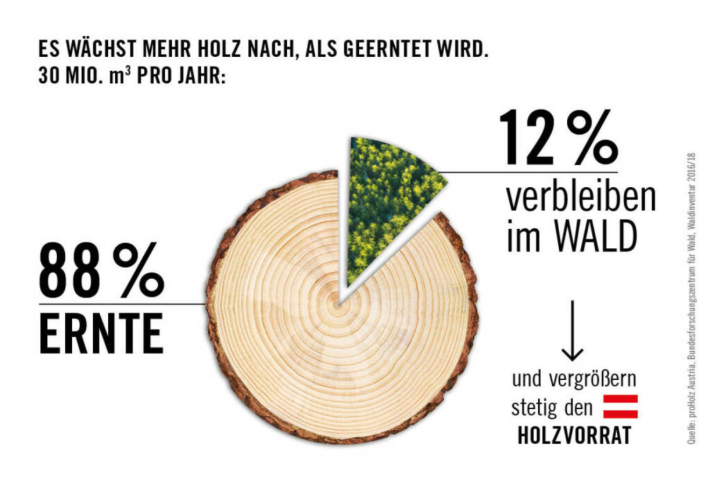 proHolz Austria - Arbeitsgemeinschaft der österreichischen Holzwirtschaft: proHolz Austria: Aktive Waldbewirtschaftung sichert den Klimaschutz, Fotocredit:Cayenne, © Aussender (20.03.2020) 