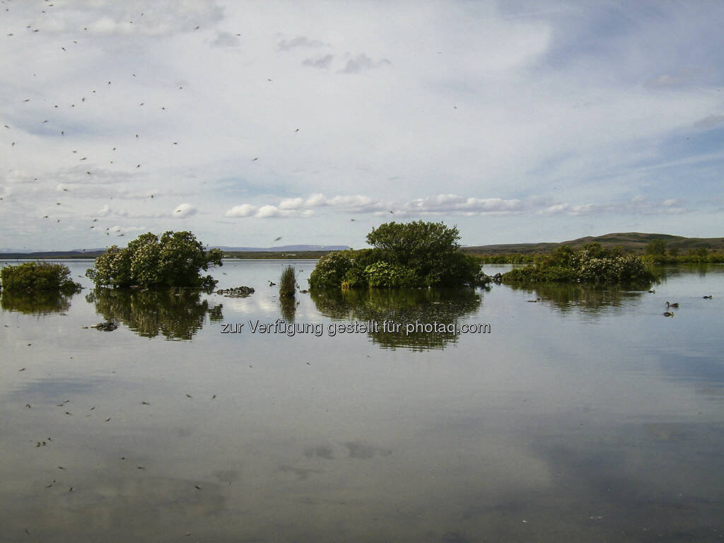 Mückensee - Island, © Gabriele Hartweger (15.07.2013) 