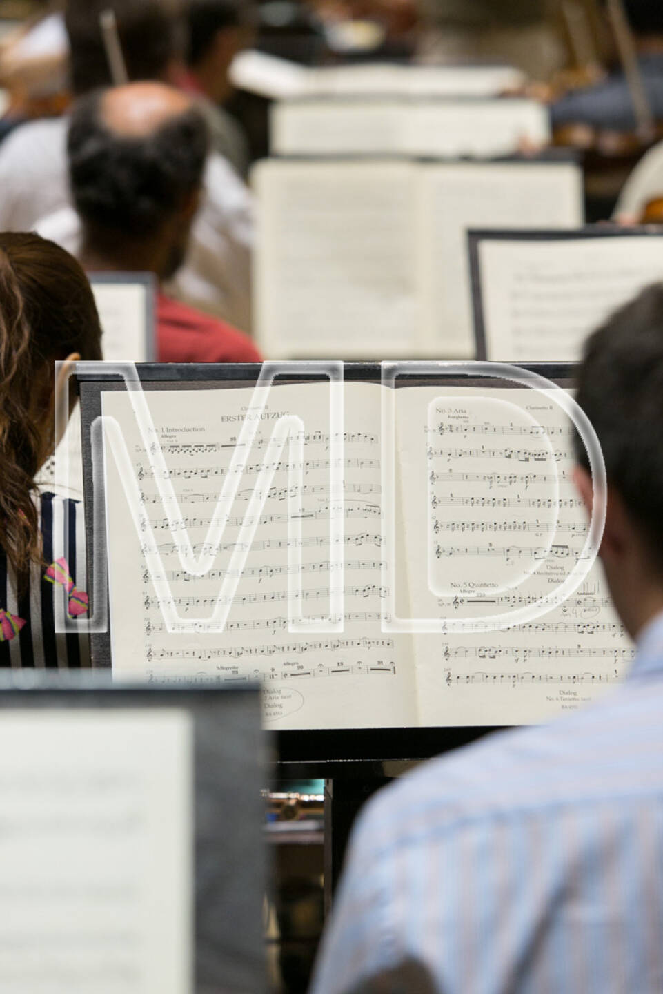 http://martina-draper.at/2013/06/12/wiener_symphoniker_-_orchesterprobe#bild_10524