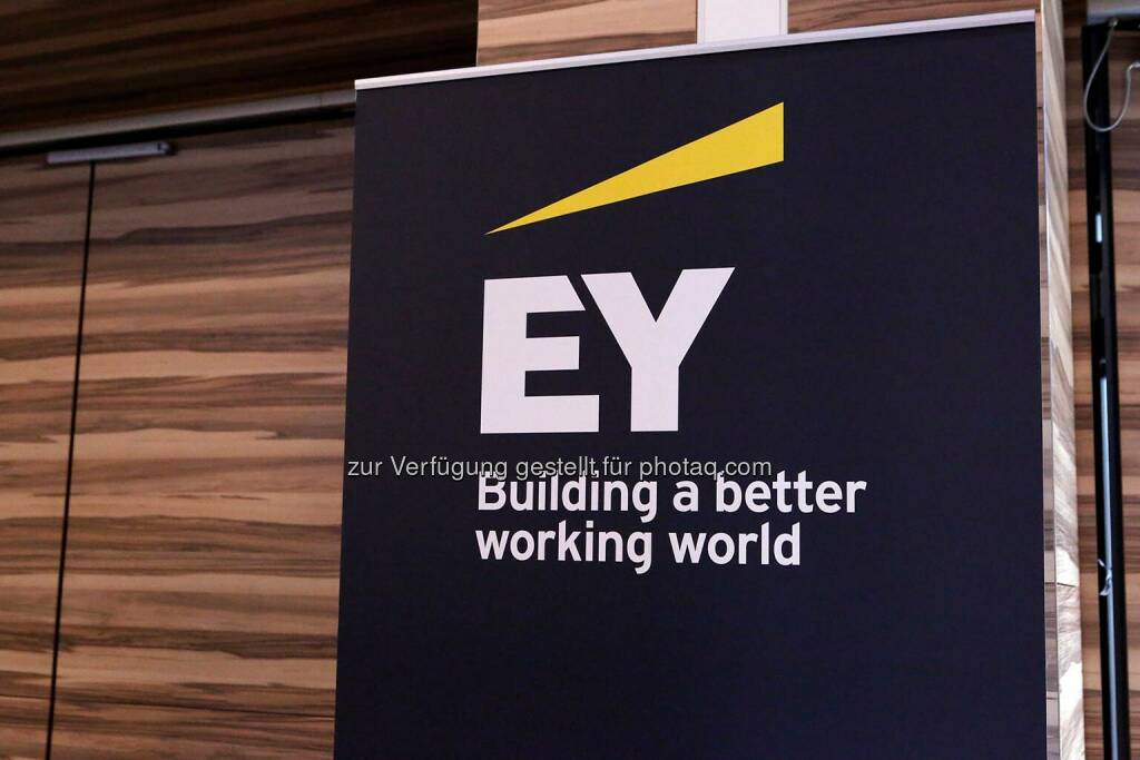 C.I.R.A.-Jahreskonferenz 2020, © CIRA/APA-Fotoservice/Bargad Fotograf/in: Nadine Bargad (02.11.2020)