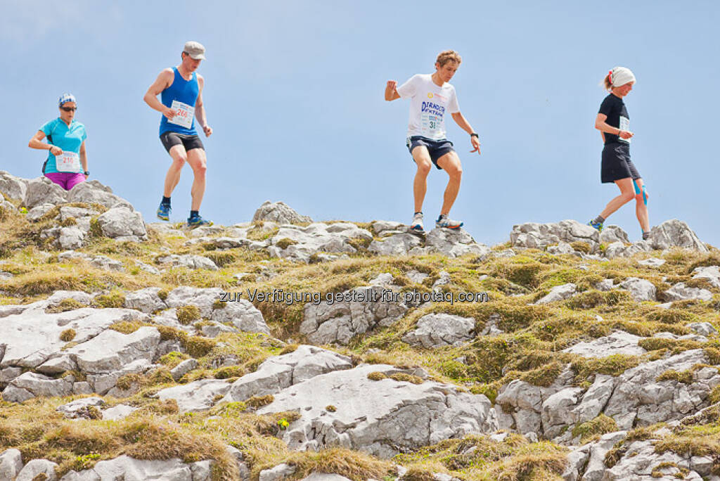 Laufen, Berg, ESPA-Ötscher-Marathon 2013 , © Rainer Mirau (27.07.2013) 