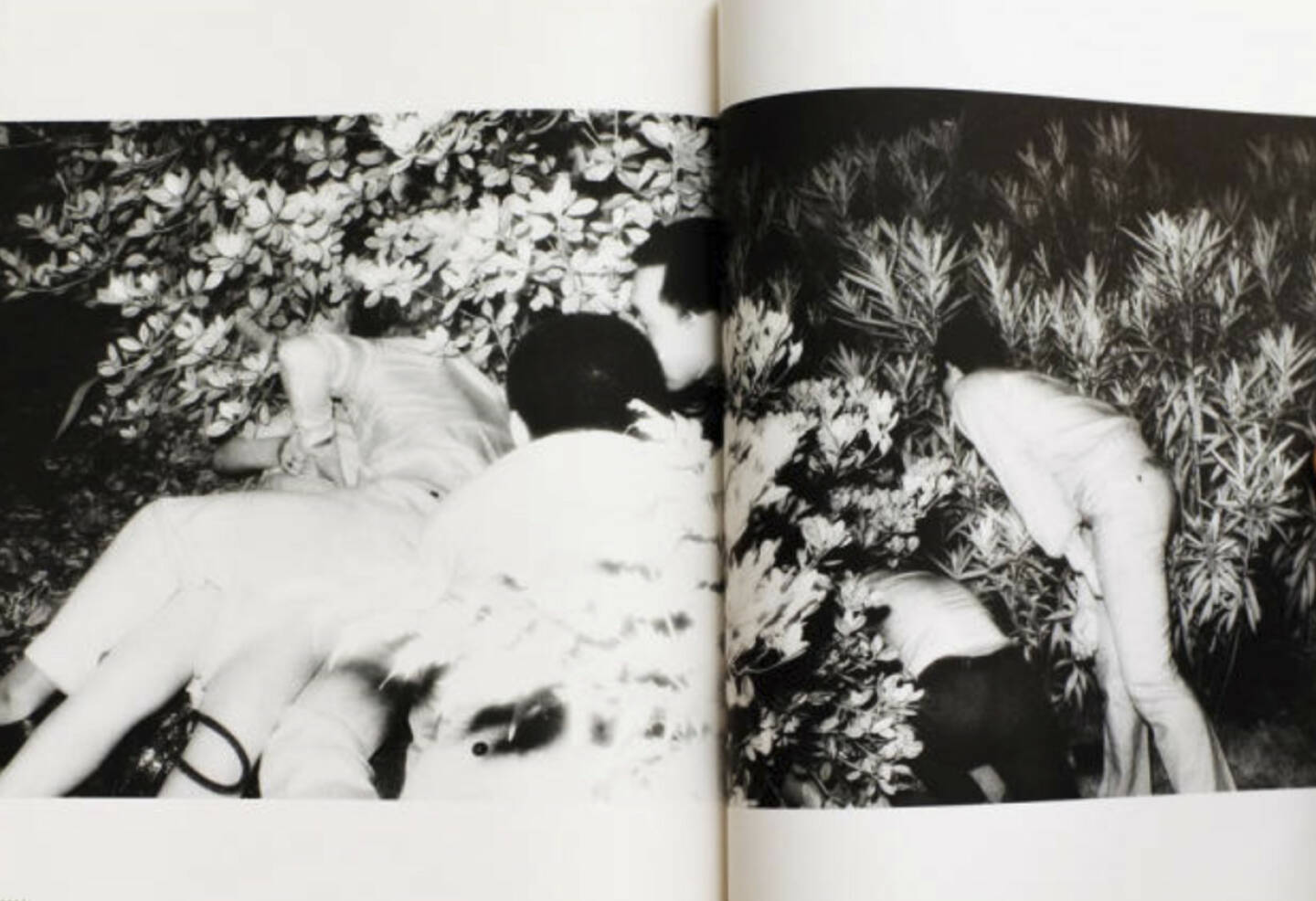 eine Seite aus Kohei Yoshiyuki - Document Kouen / Document Park, Preis: 350-550 Euro, http://josefchladek.com/book/kohei_yoshiyuki_-_document_kouen_document_park