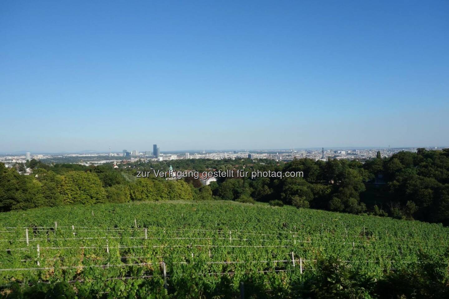 Blick über Wien