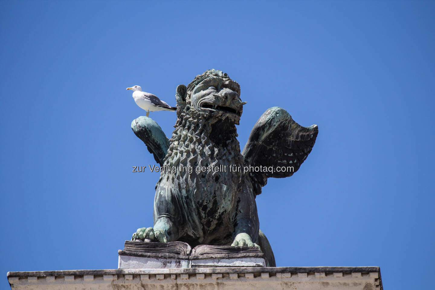 Venedig, Möwe, Löwe mit Flügeln