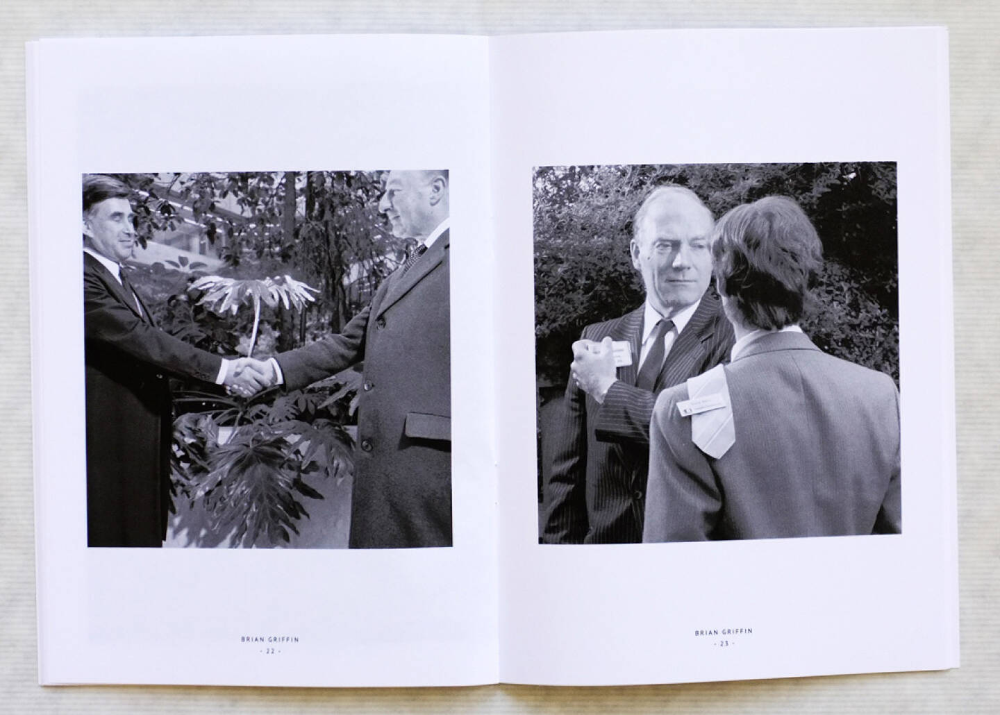 (c) Brian Griffin - Business as Usual/Editions Bessard