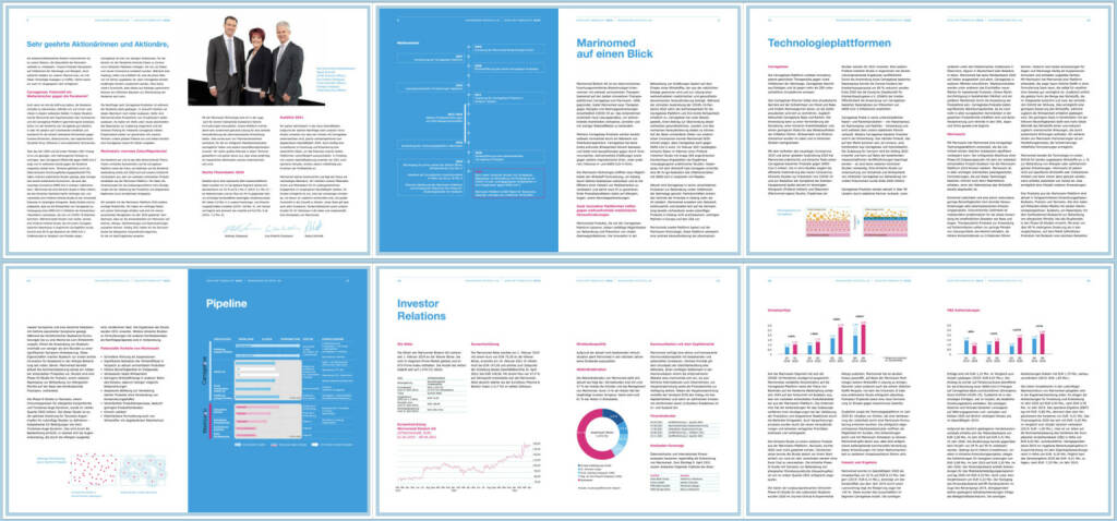 Marinomed Geschäftsbericht 2020 - https://boerse-social.com/companyreports/2021/214486/marinomed_geschaftsbericht_2020 (08.06.2021) 