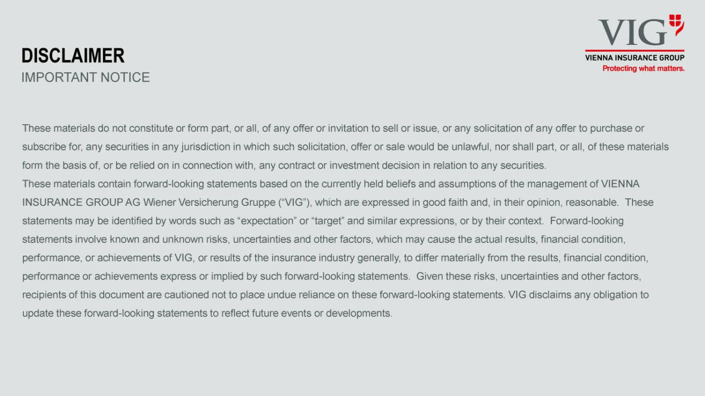 VIG - Disclaimer