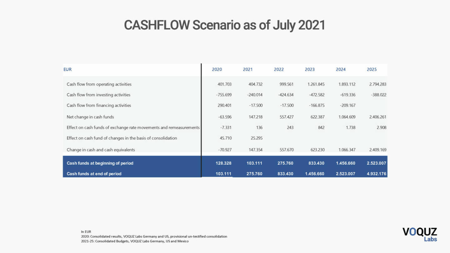 Voquz Labs - Cashflow