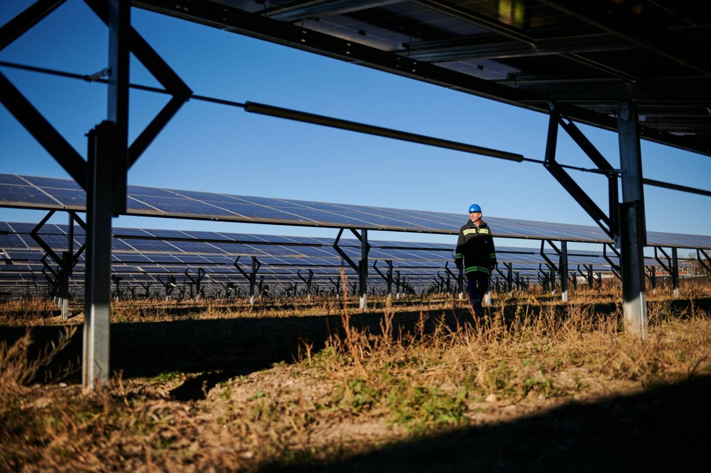 OMV nimmt nachgeführte Flächen-Photovoltaikanlage in der Lobau in Betrieb © OMV