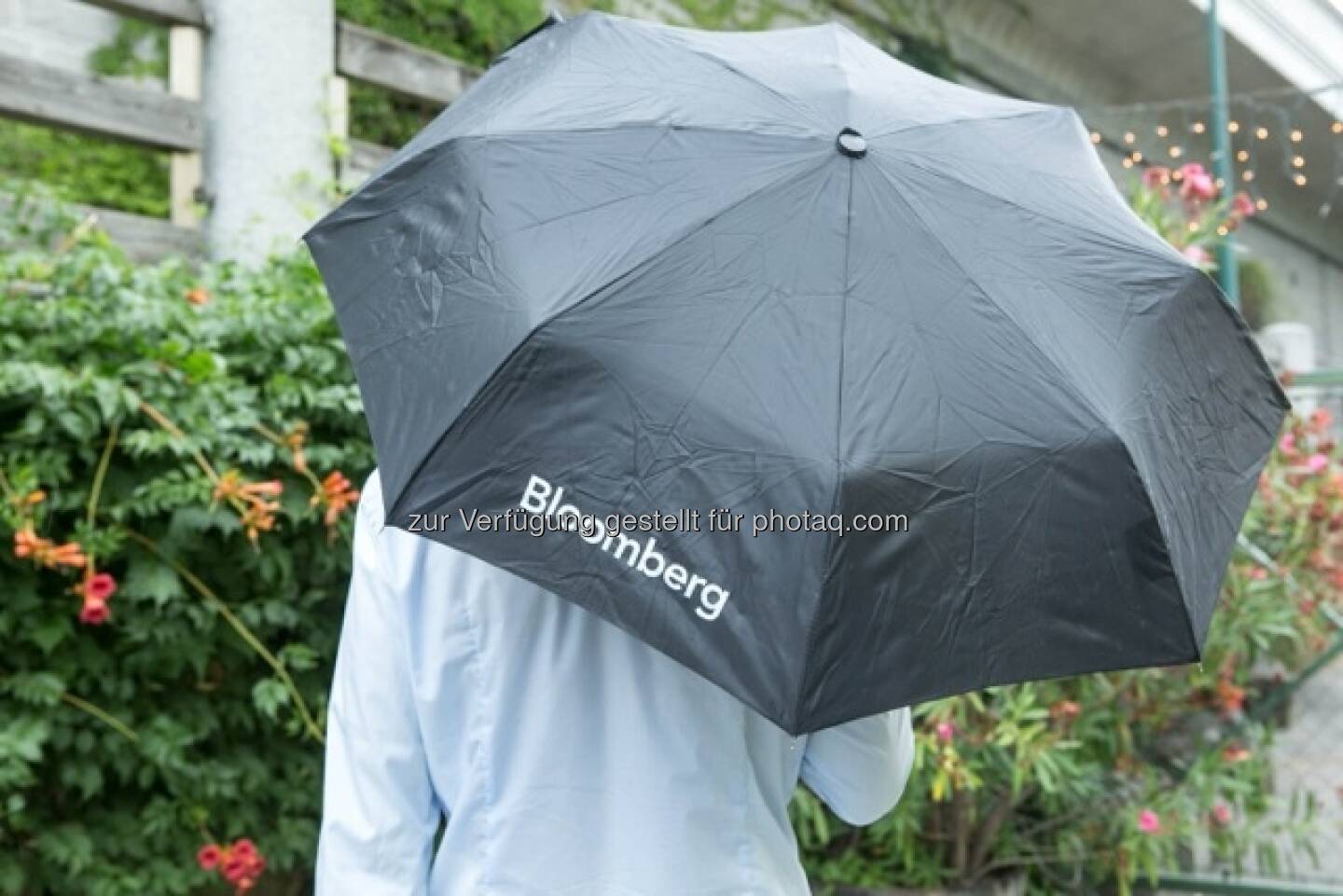 Regenschirm Bloomberg